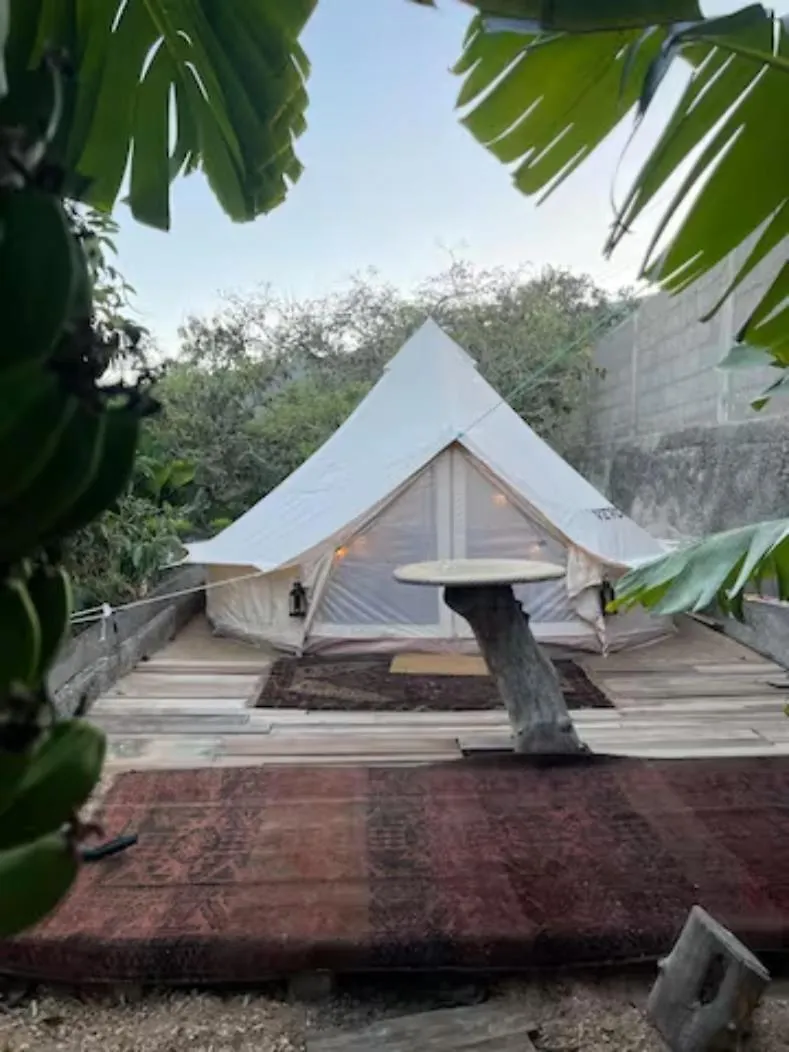 Hotel Yurt In Avocado Garden Güímar