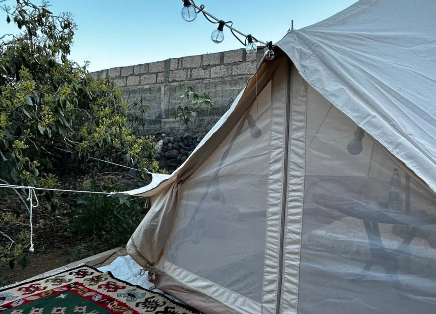Hotel Yurt In Avocado Garden Güímar