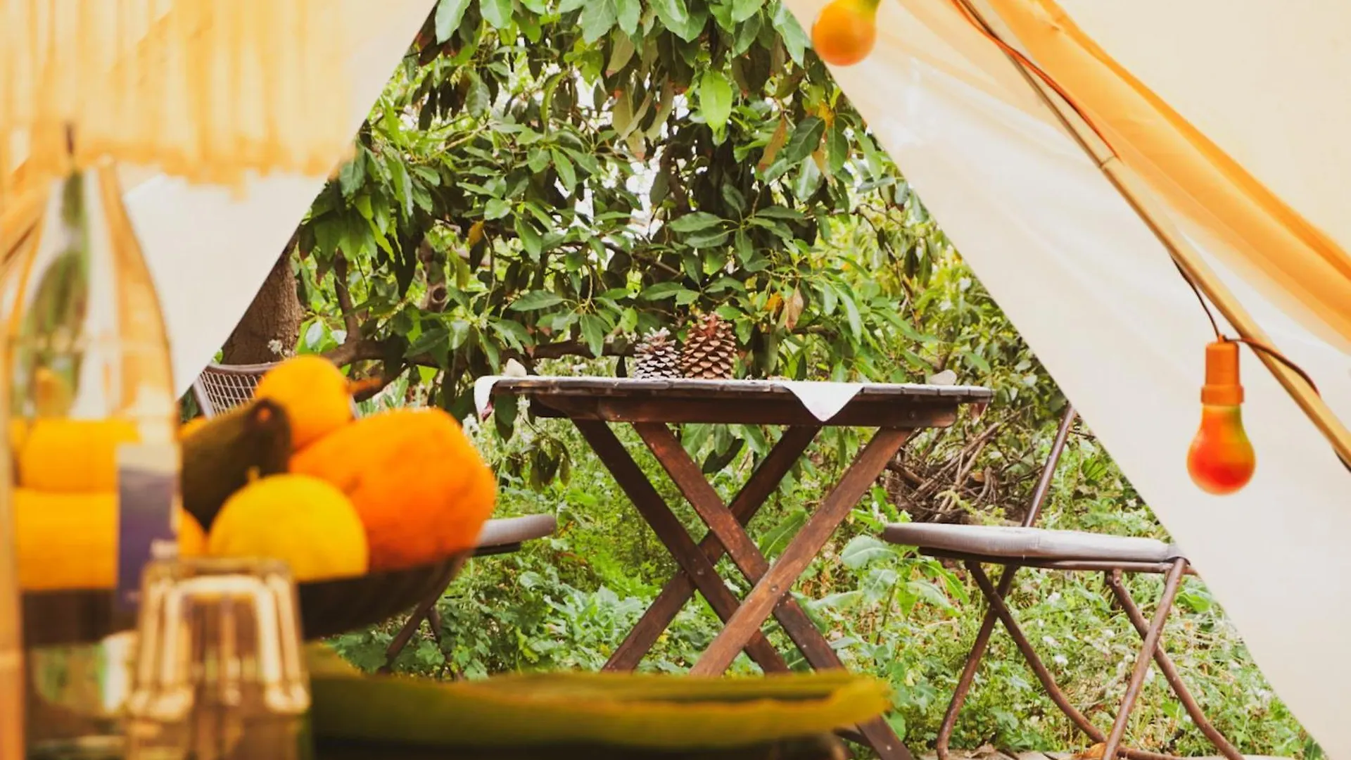 Campo de lujo Hotel Yurt In Avocado Garden Güímar